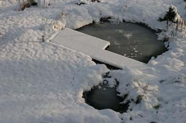 08_12_14_teich_schnee