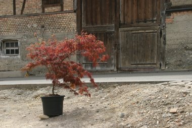 09_04_17_acer