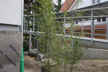 09_04_17_phyllostachus_01
