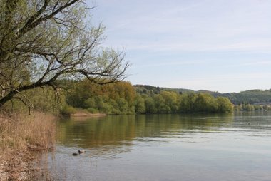 Überlinger See