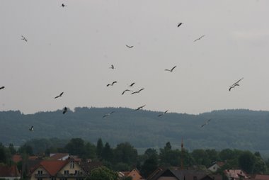Abflug Aufwärmen