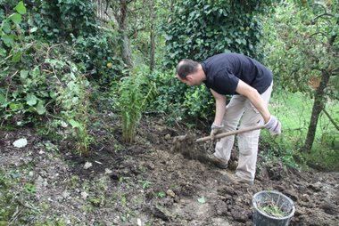 Wurzeln und Unkraut müssen raus Wurzeln und Unkraut müssen raus