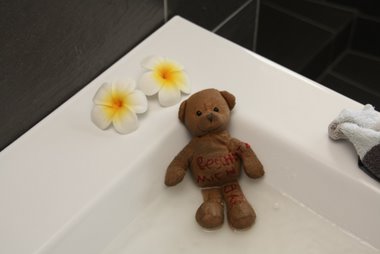 Bär beim Baden Bär beim Baden