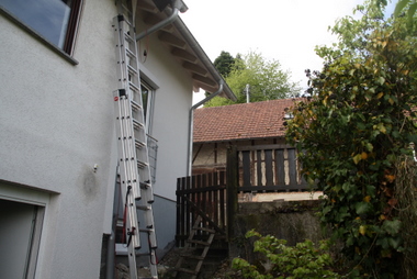 der Specht hat seine Leiter dabei