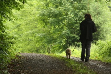 Waldspaziergang