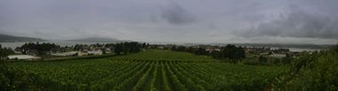 2010_08_05_reichenau