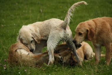 2010_08_07_14_33_42.JPG