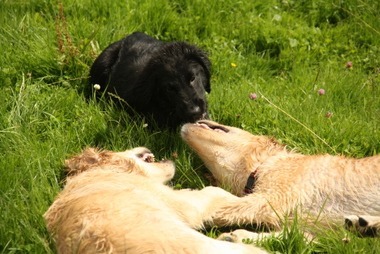2010_08_07_14_35_04.JPG