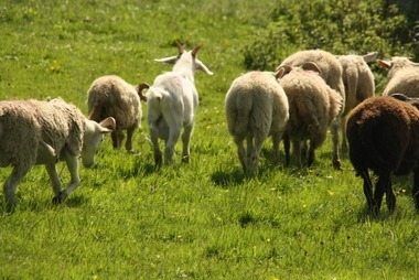 2010_08_07_15_55_54.JPG