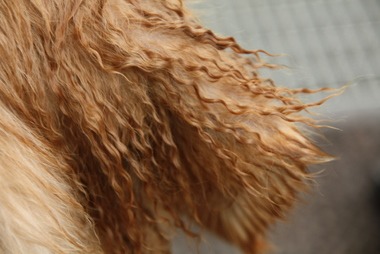 2010_08_12_18_12_34.JPG