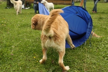 2010_08_14_15_14_22.JPG