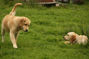 2010_08_14_15_22_06.JPG