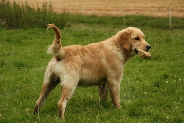 2010_08_14_15_44_38.JPG