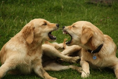 2010_08_14_15_47_26.JPG
