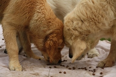 2010_08_14_16_09_40.JPG