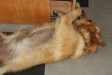 2010_08_24_15_33_04.JPG