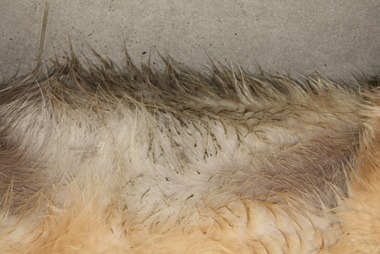2010_08_24_15_34_30.JPG