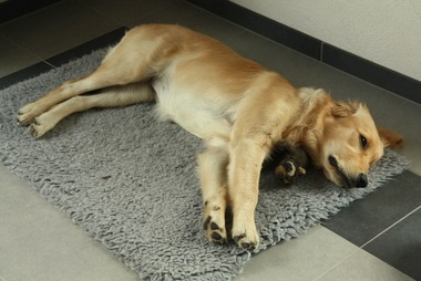 2010_08_25_08_50_24.JPG