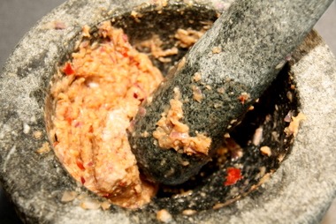 2010_10_03_currypaste.JPG