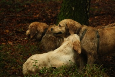 2010_10_09_14_45_54.JPG