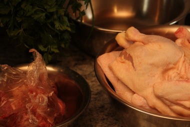 2010_10_24_14_07_08.JPG