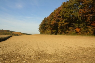2010_10_29_herbst_01.JPG