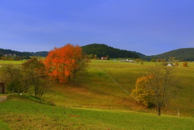 2010_10_30_16_10_00.JPG