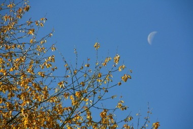 2010_10_31_mond.JPG