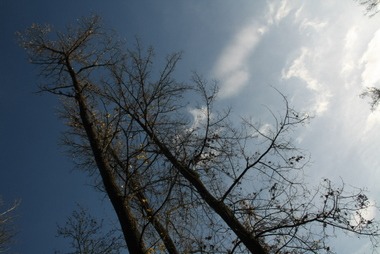 2010_11_04_13_40_58.JPG