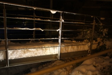 Eingangssteg
