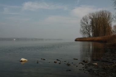 Zeller See bei Moos