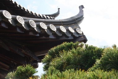 chinesisches Teehaus - Luisenpark, Mannheim