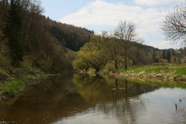 Donauversinkung bei Immendingen
