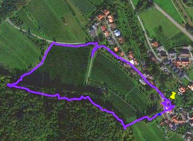 ausgewertete GPS-Daten