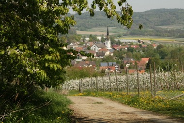 Wahlwies