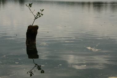 am Steißlinger See