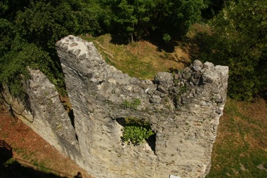 Ruine Homburg