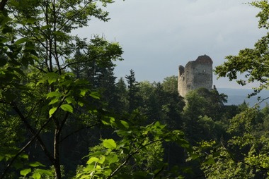 Ruine Altbodman Ruine Altbodman - Bodman Bodmann