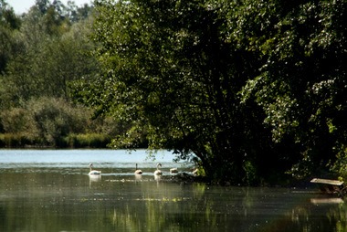 Schwackenreuter Seen