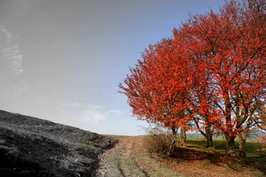 Herbst am Schwarzwaldhof