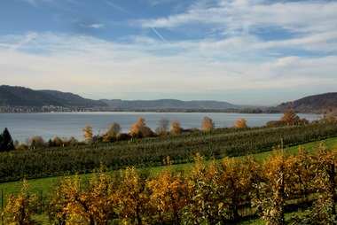 Überlinger See in Richtung Seeende