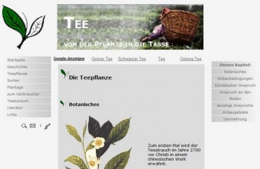 TerraTee - aus dem Web 1.o