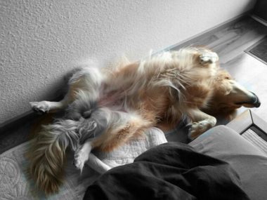 Wochenende!