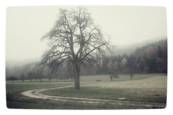 November