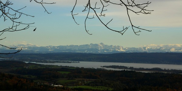 Burg Homburg Richtung Insel Reichenau