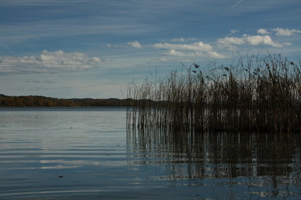 Gnadensee