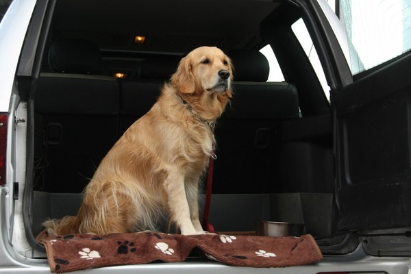 sehr gemütlich Landrover Freelander Retriever