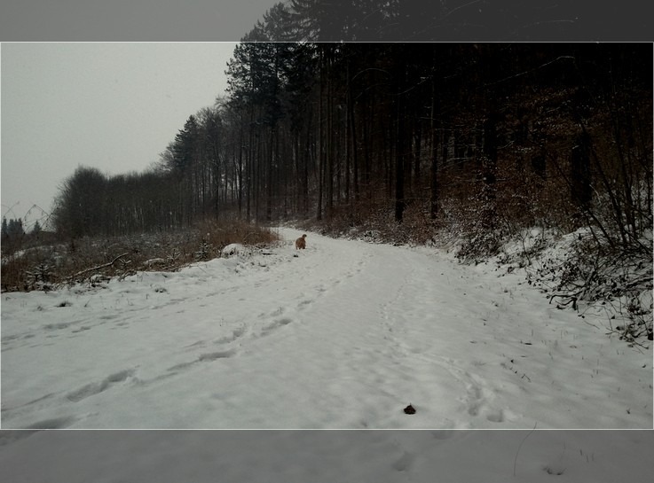 26.März 2013