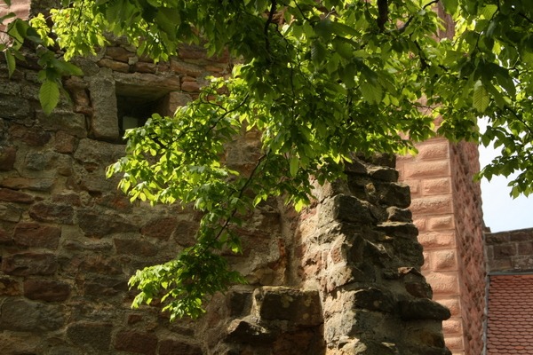 Burg Landeck