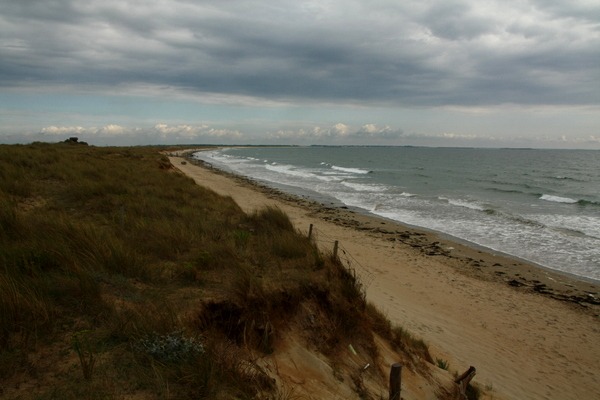 Meer, Strand und Dünen